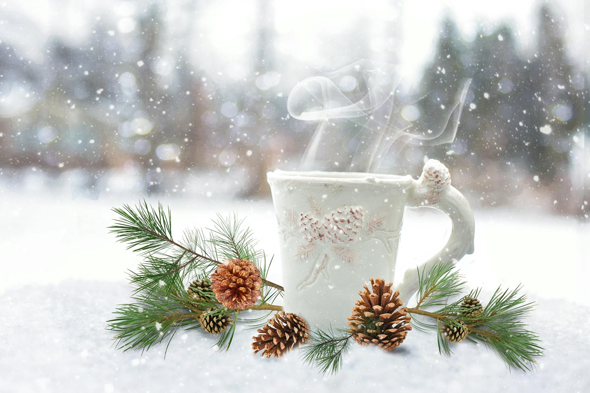 white ceramic mug near brown pinecones