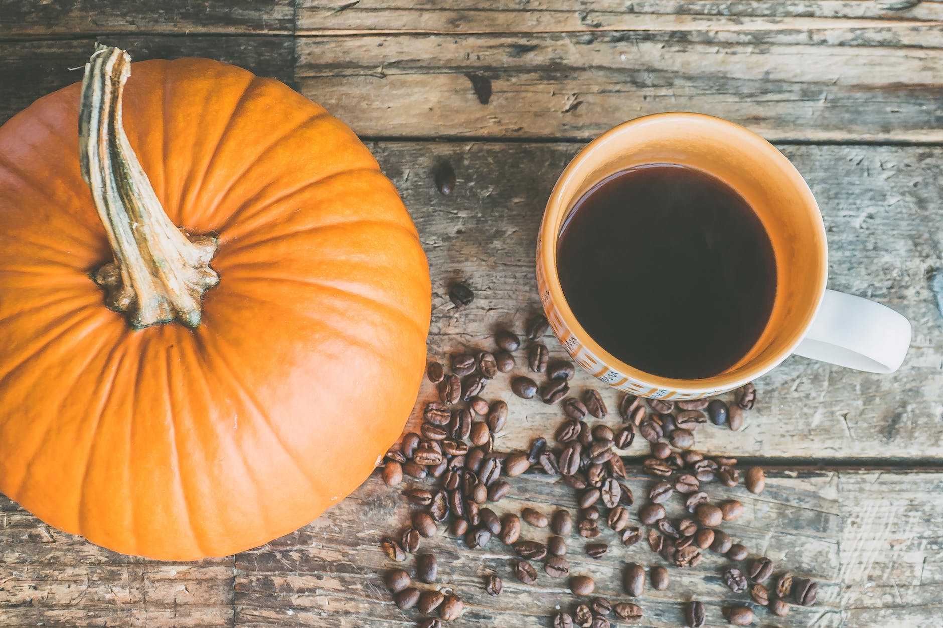 Savor the Season: A Deep Dive into Vita Cups Pumpkin Spice Coffee