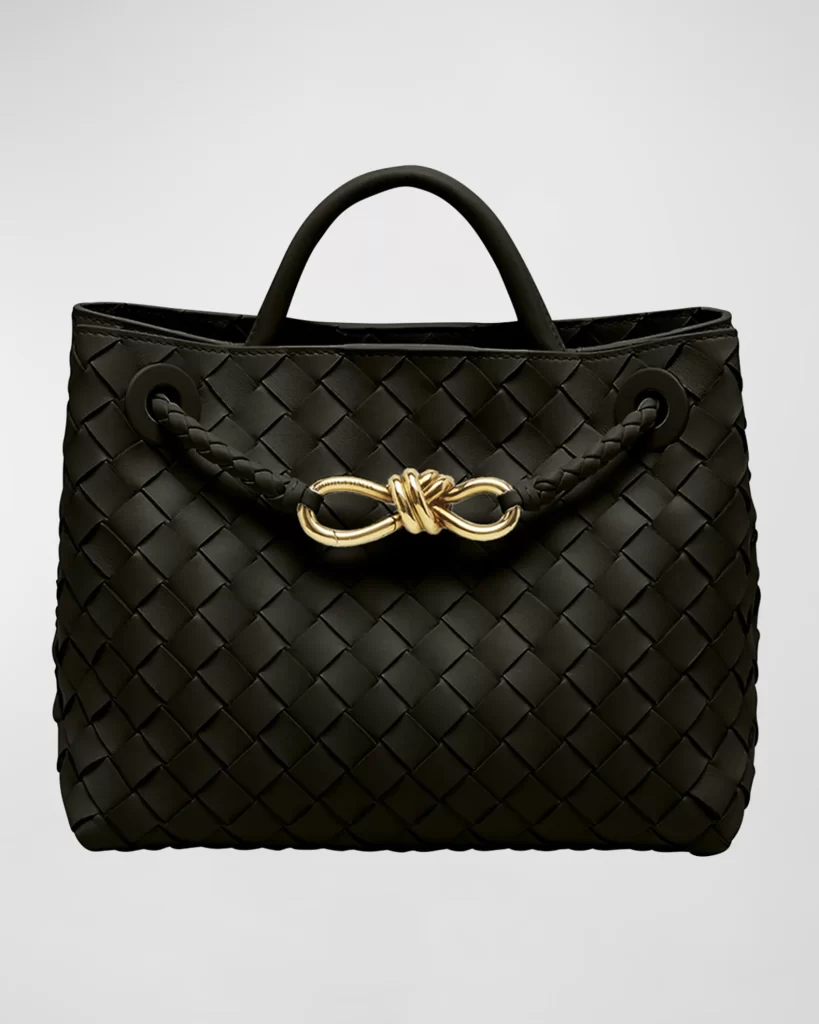 Bottega Veneta Small Andiamo Bag