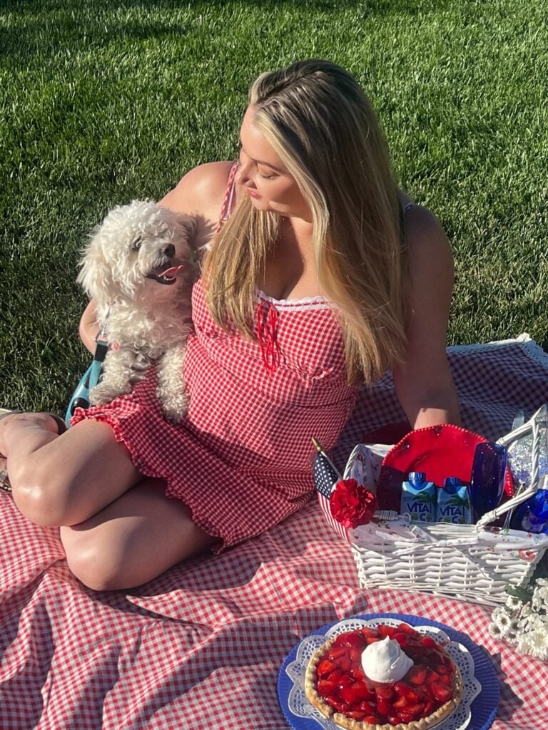 how to create the perfect picnic