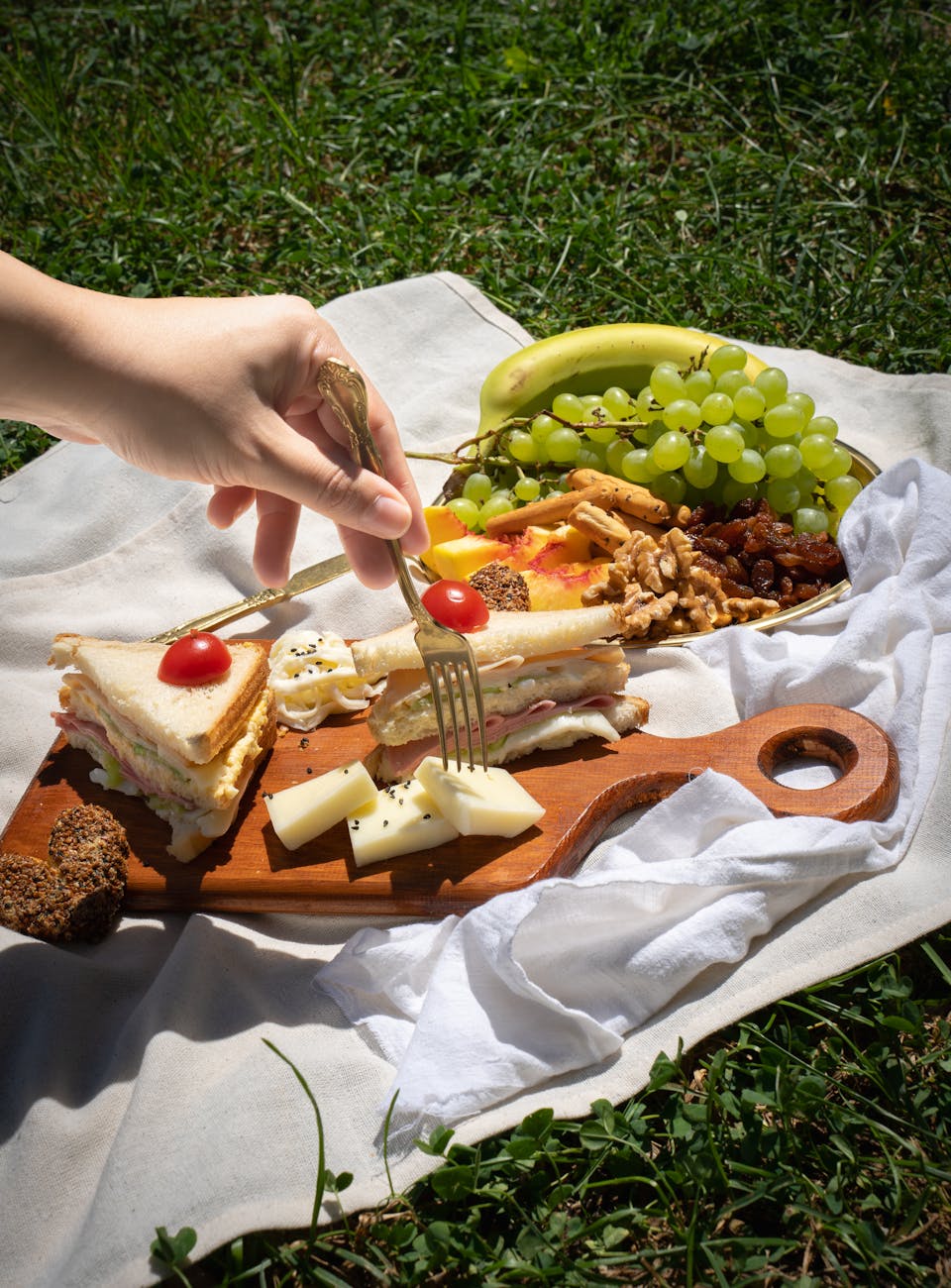 woman with food on a picnic